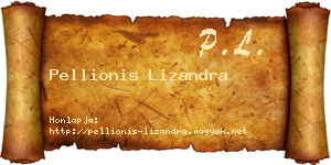 Pellionis Lizandra névjegykártya